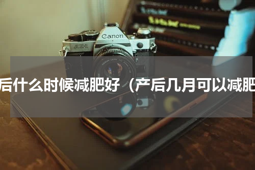 产后什么时候减肥好（产后几月可以减肥）