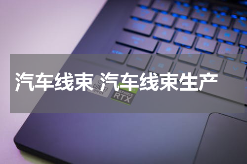汽车线束 汽车线束生产