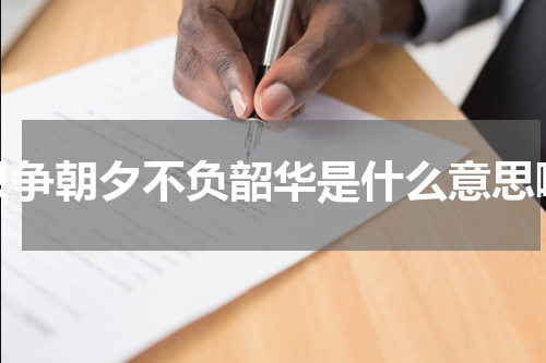 只争朝夕不负韶华是什么意思啊
