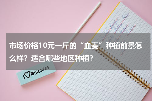 市场价格10元一斤的“血麦”种植前景怎么样？适合哪些地区种植？