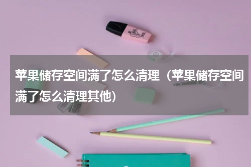 苹果储存空间满了怎么清理（苹果储存空间满了怎么清理其他）