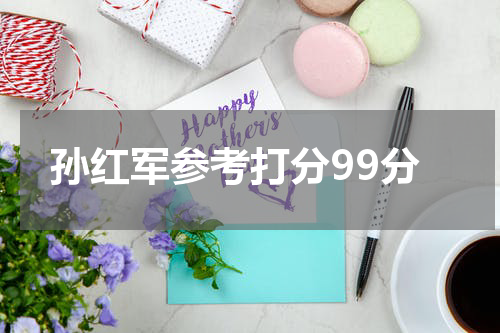 孙红军参考打分99分
