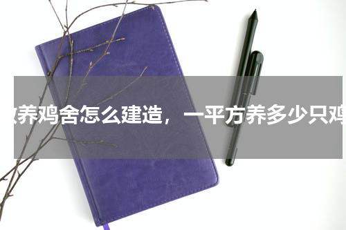 散养鸡舍怎么建造，一平方养多少只鸡