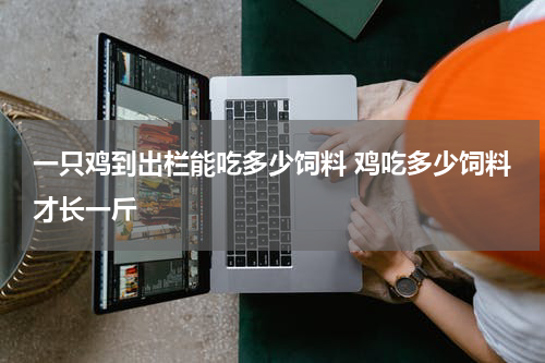 一只鸡到出栏能吃多少饲料 鸡吃多少饲料才长一斤