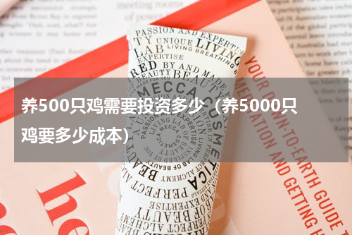 养500只鸡需要投资多少（养5000只鸡要多少成本）