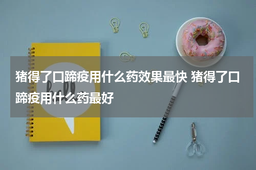 猪得了口蹄疫用什么药效果最快 猪得了口蹄疫用什么药最好