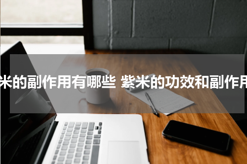 紫米的副作用有哪些 紫米的功效和副作用