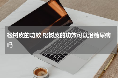 松树皮的功效 松树皮的功效可以治糖尿病吗