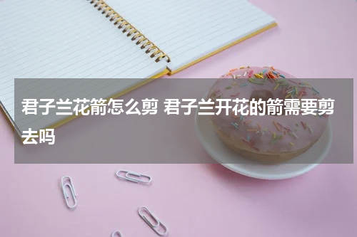 君子兰花箭怎么剪 君子兰开花的箭需要剪去吗
