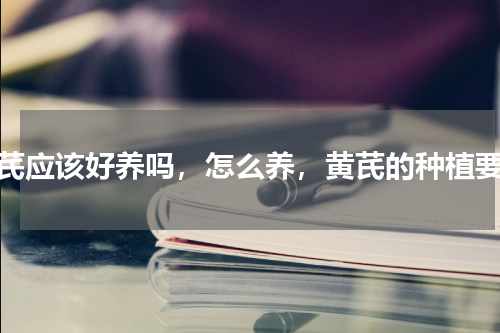 黄芪应该好养吗，怎么养，黄芪的种植要点