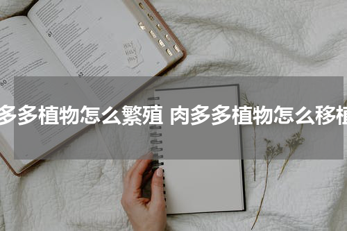 肉多多植物怎么繁殖 肉多多植物怎么移植