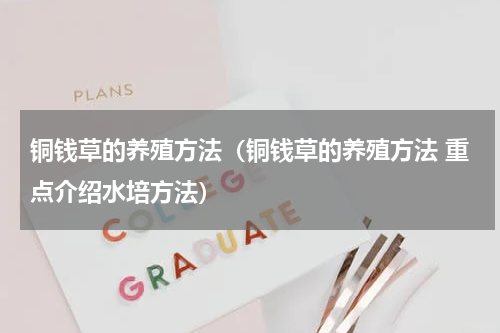 铜钱草的养殖方法（铜钱草的养殖方法 重点介绍水培方法）