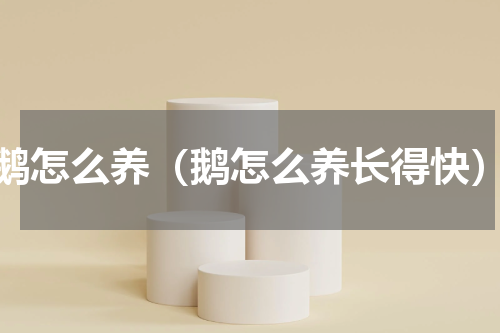 鹅怎么养（鹅怎么养长得快）