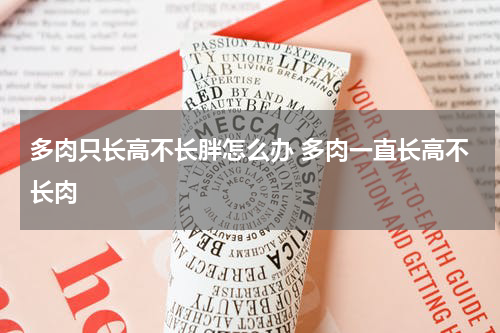 多肉只长高不长胖怎么办 多肉一直长高不长肉