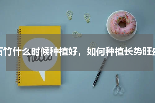 石竹什么时候种植好，如何种植长势旺盛
