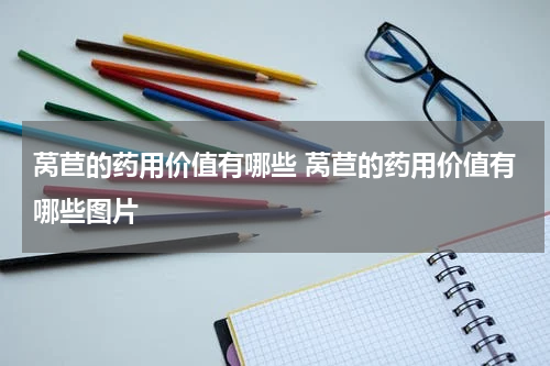 莴苣的药用价值有哪些 莴苣的药用价值有哪些图片