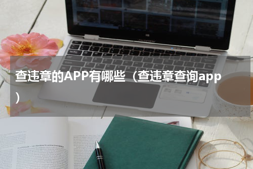 查违章的APP有哪些（查违章查询app）