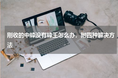 刚收的中蜂没有蜂王怎么办，附四种解决方法