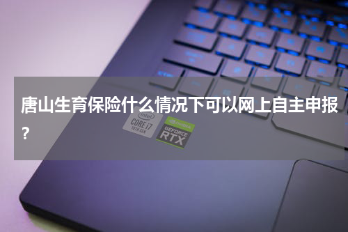 唐山生育保险什么情况下可以网上自主申报？