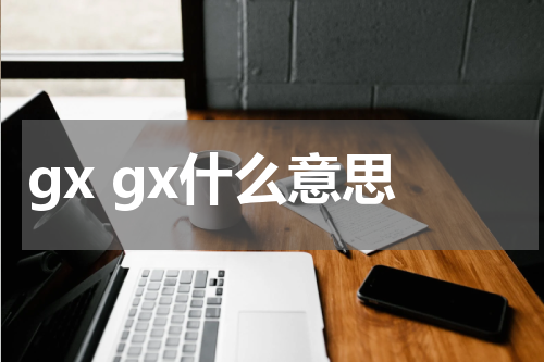 gx gx什么意思