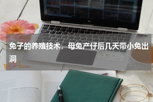 兔子的养殖技术，母兔产仔后几天带小兔出洞