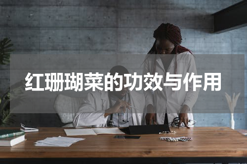 红珊瑚菜的功效与作用