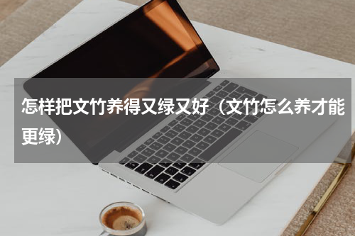 怎样把文竹养得又绿又好（文竹怎么养才能更绿）