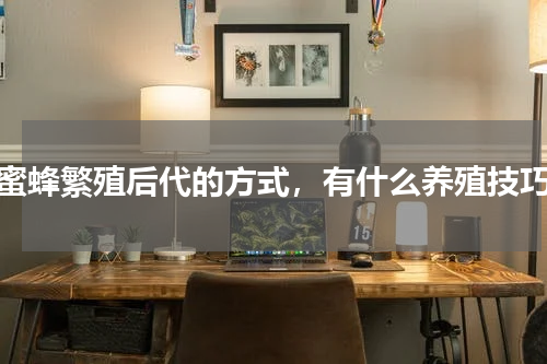 蜜蜂繁殖后代的方式，有什么养殖技巧