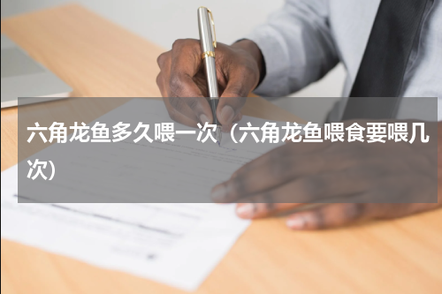六角龙鱼多久喂一次（六角龙鱼喂食要喂几次）