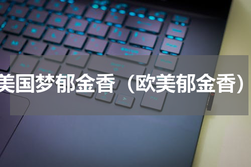 美国梦郁金香（欧美郁金香）