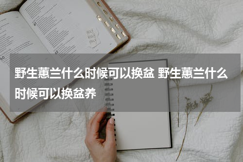 野生蕙兰什么时候可以换盆 野生蕙兰什么时候可以换盆养