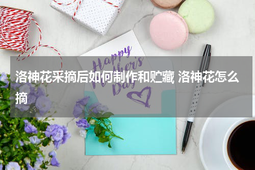 洛神花采摘后如何制作和贮藏 洛神花怎么摘