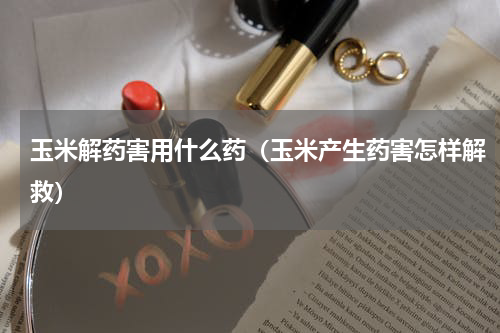玉米解药害用什么药（玉米产生药害怎样解救）