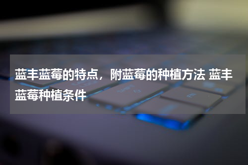 蓝丰蓝莓的特点，附蓝莓的种植方法 蓝丰蓝莓种植条件