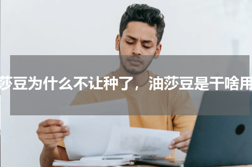 油莎豆为什么不让种了，油莎豆是干啥用的