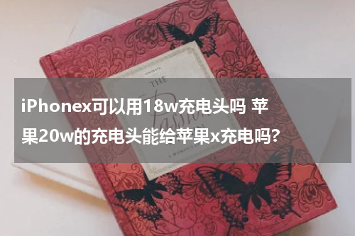 iPhonex可以用18w充电头吗 苹果20w的充电头能给苹果x充电吗?