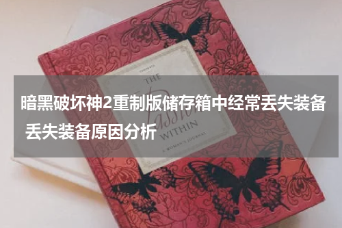 暗黑破坏神2重制版储存箱中经常丢失装备 丢失装备原因分析