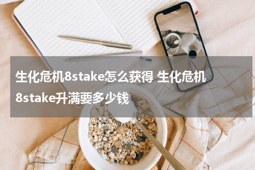 生化危机8stake怎么获得 生化危机8stake升满要多少钱