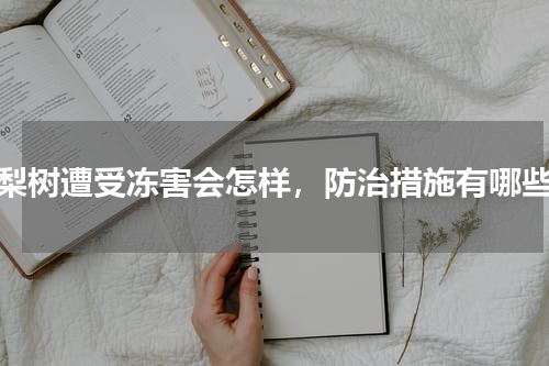 梨树遭受冻害会怎样，防治措施有哪些