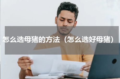 怎么选母猪的方法（怎么选好母猪）