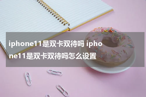 iphone11是双卡双待吗 iphone11是双卡双待吗怎么设置