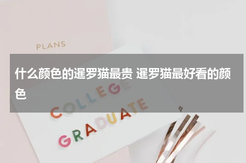 什么颜色的暹罗猫最贵 暹罗猫最好看的颜色
