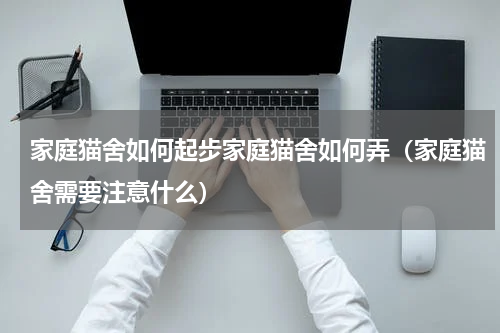 家庭猫舍如何起步家庭猫舍如何弄（家庭猫舍需要注意什么）