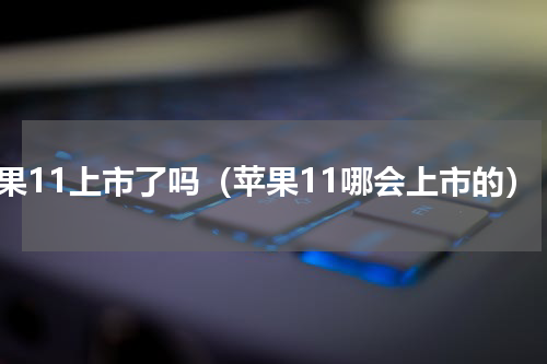 苹果11上市了吗（苹果11哪会上市的）