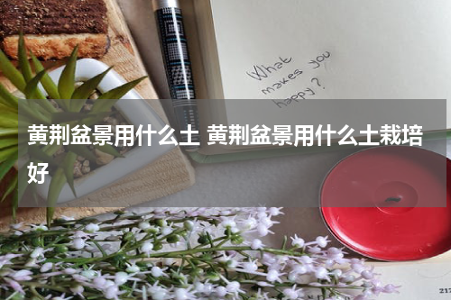 黄荆盆景用什么土 黄荆盆景用什么土栽培好