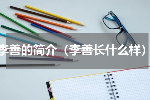李善的简介（李善长什么样）