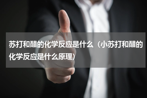 苏打和醋的化学反应是什么（小苏打和醋的化学反应是什么原理）