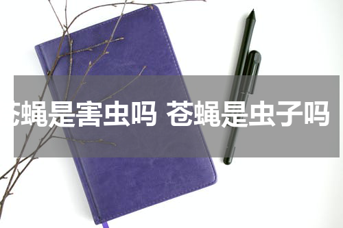 苍蝇是害虫吗 苍蝇是虫子吗