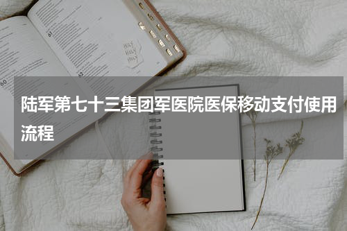 陆军第七十三集团军医院医保移动支付使用流程