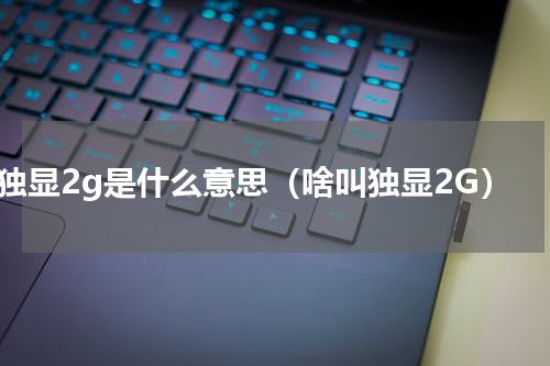 独显2g是什么意思（啥叫独显2G）